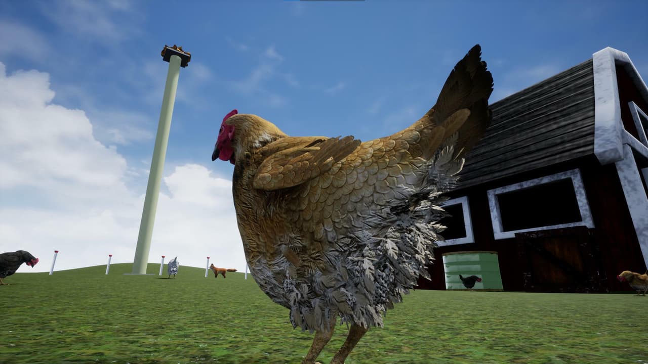 Poules et Pile