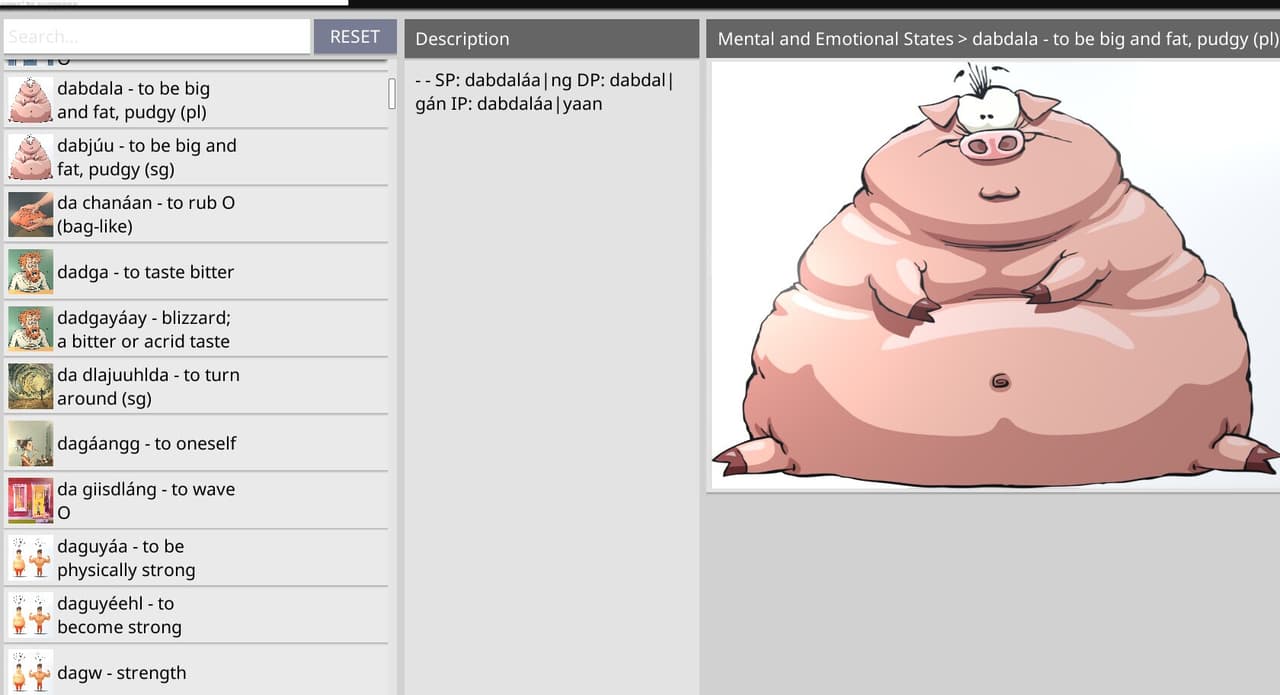 Lets Learn X̱aad Kíl screenshot 3