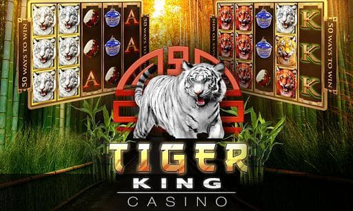 Slots Tiger King Casino Slots screenshot 2