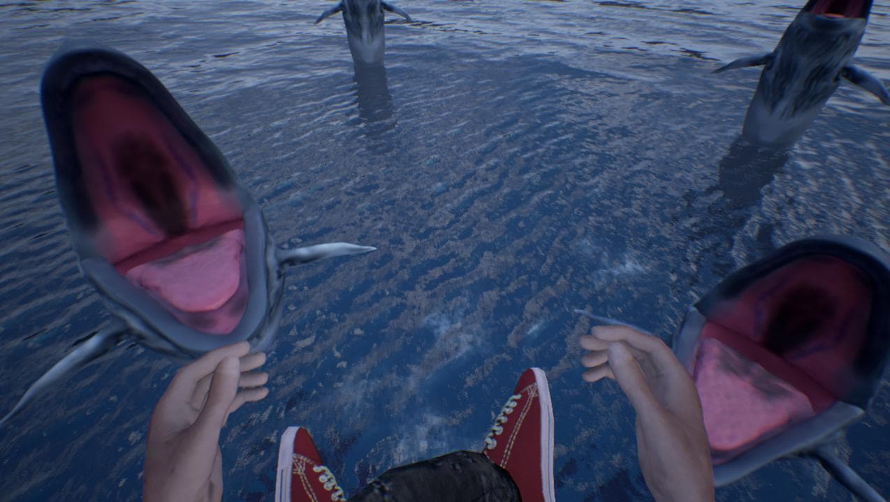 Feed The Whales