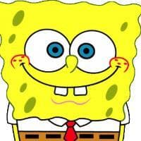 SPONG ADVENTURE