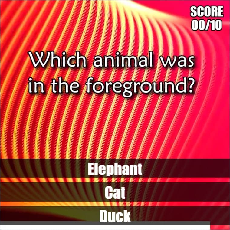 Observation Quiz 1