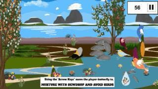 Flutter Tale- The Life Cycle of A Butterfly