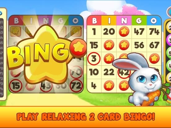 Bingo Pet Rescue screenshot 3