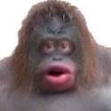 Monke Parkour