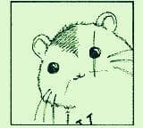 Hamsters in space screenshot 2