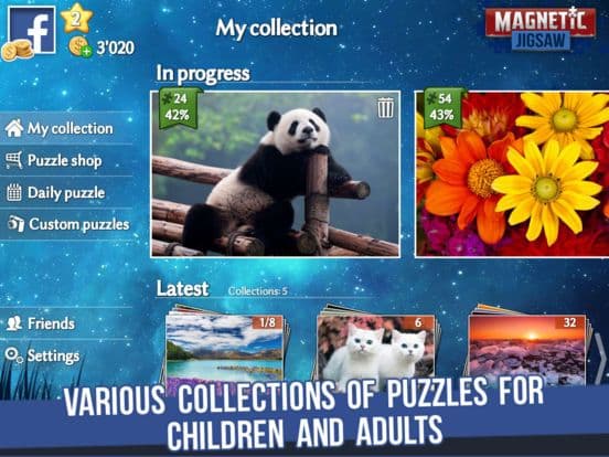 Magnetic Jigsaw screenshot 6