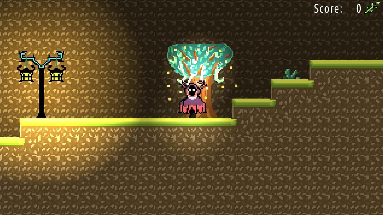 THE MYSTERY FOREST