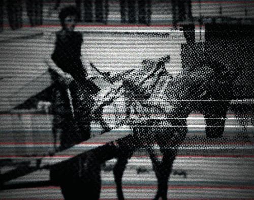caballos blancos