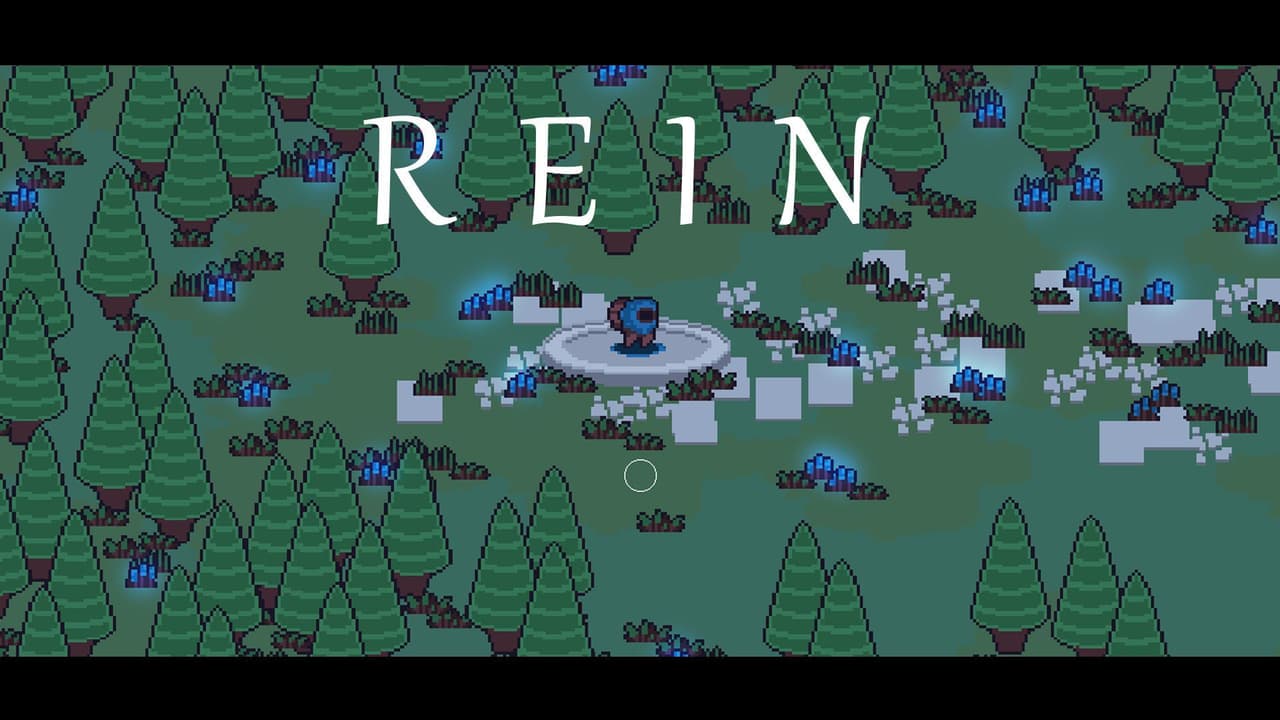 REIN