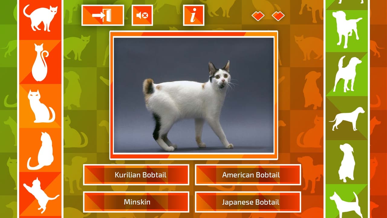 JQ: dogs & cats screenshot 2