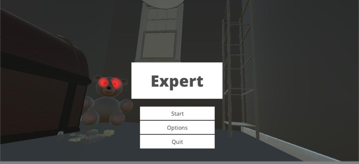 Expert