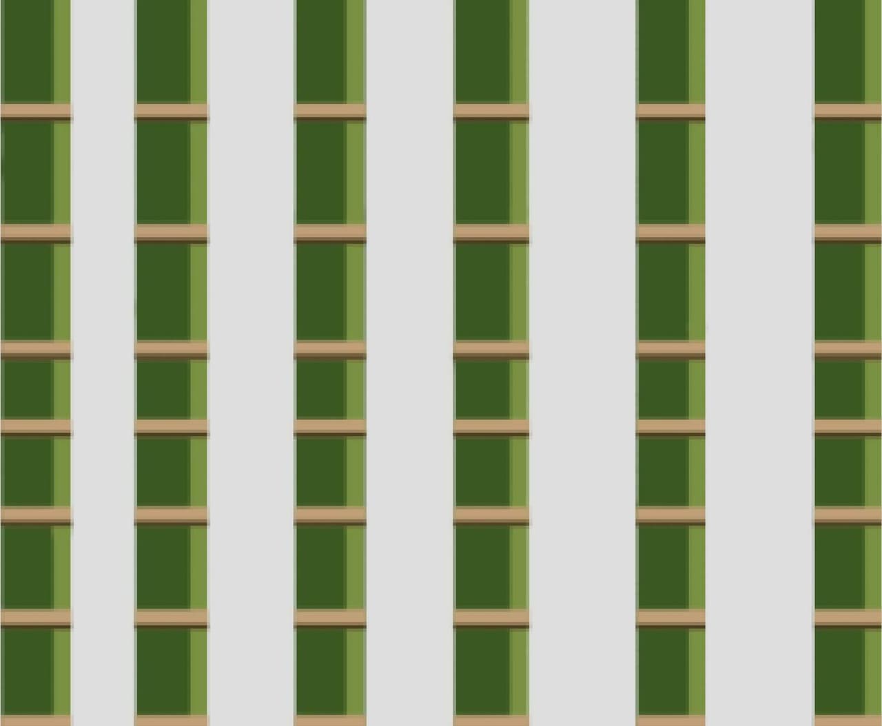 A Pandas Perspective