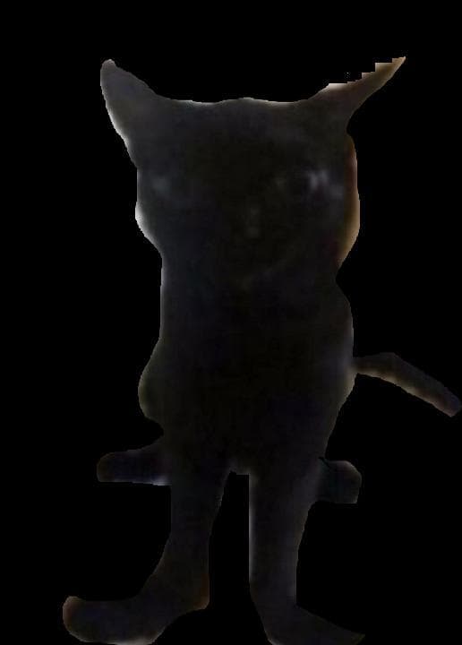 Kevin Model