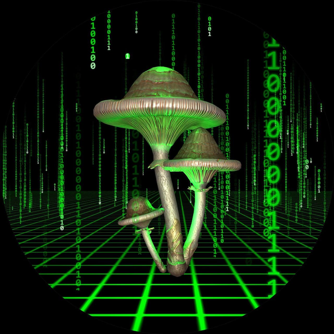 Cyber_Mushroom_WEBGL_Test_1
