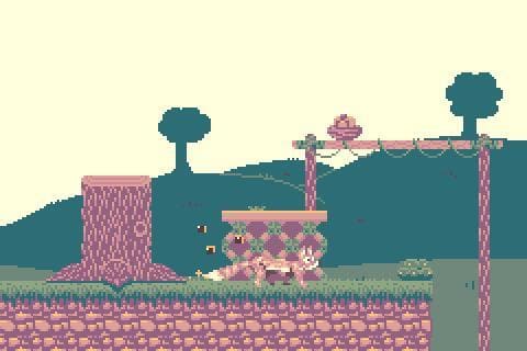 Nutmegs Adventure