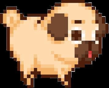 Pug Paradise