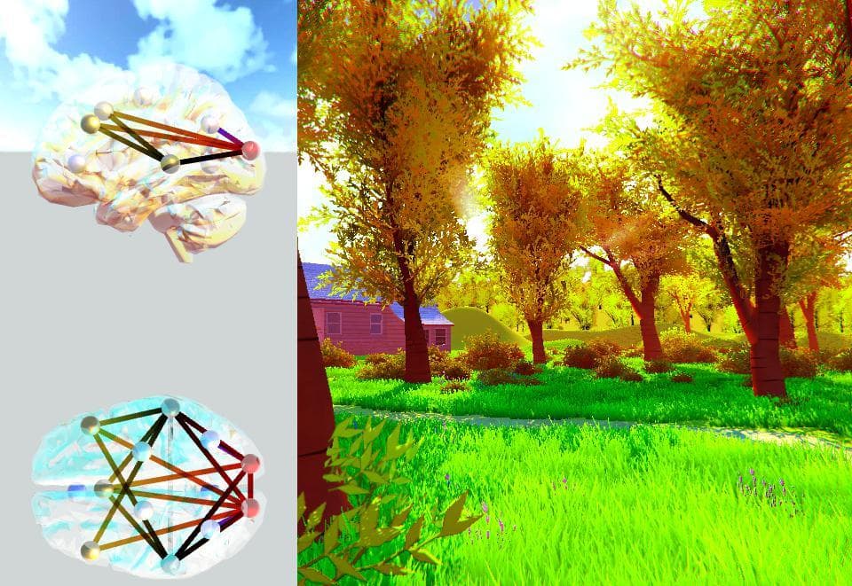 LSD and the brain screenshot 5