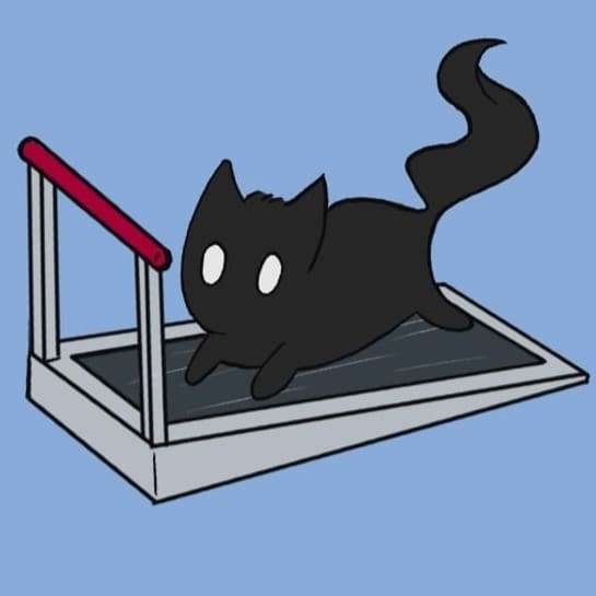 Mi gato no esta gordo