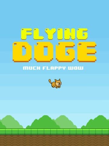 Flying doge: wow!