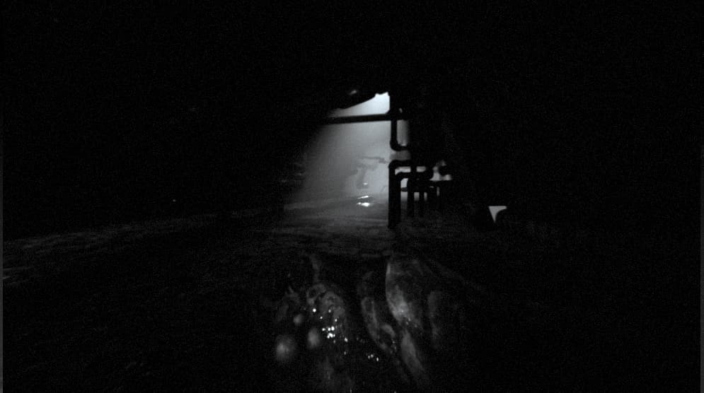 Cardiac screenshot 3