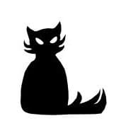 Spook: The Bad Luck Cat
