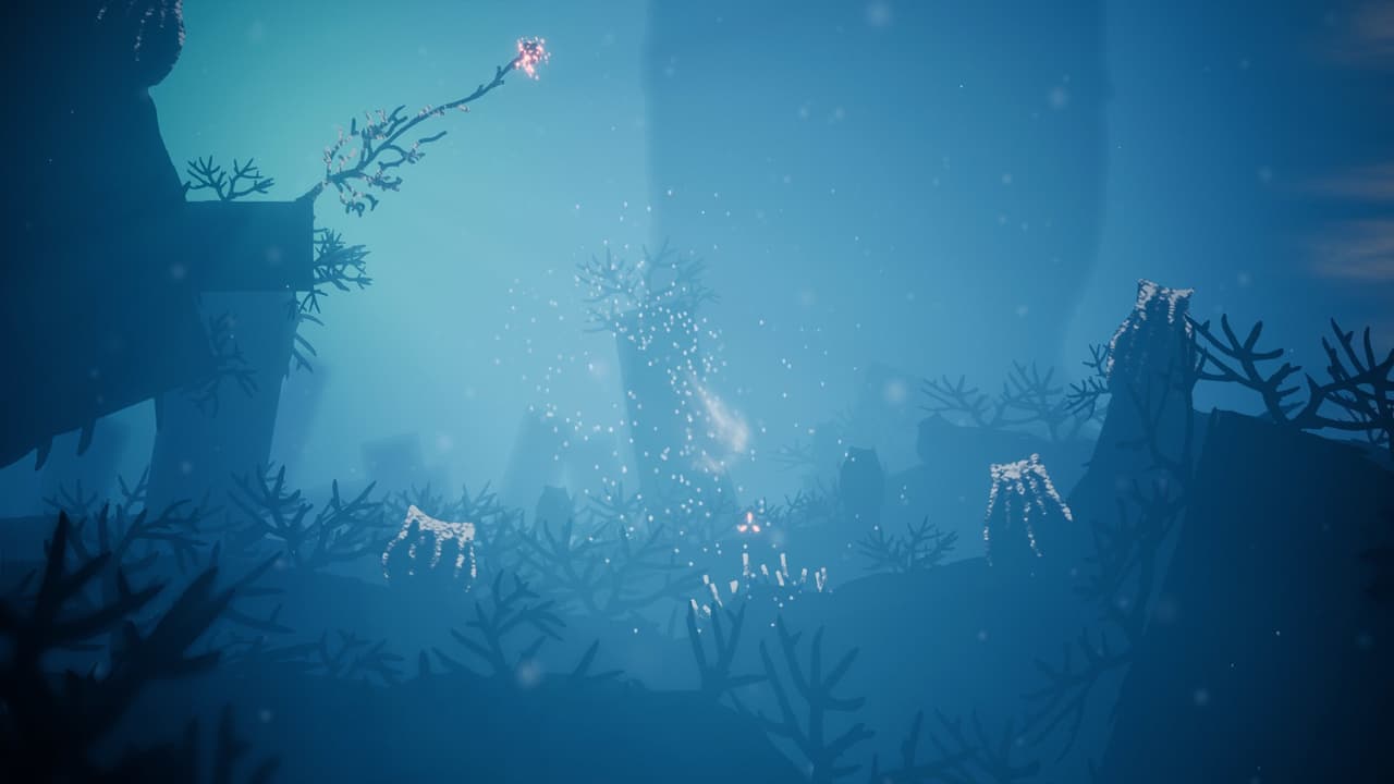Koral screenshot 6