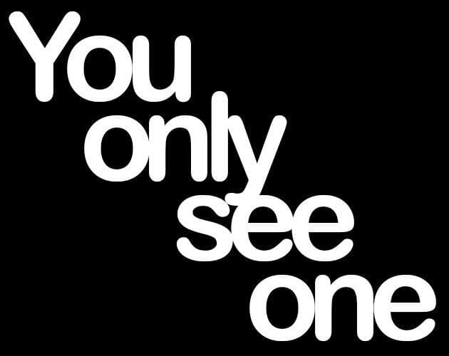 You Only See One
