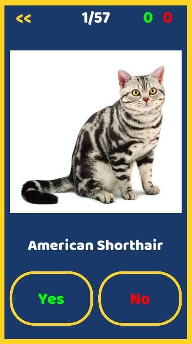 Cats Quiz (godotgames32d) screenshot 4