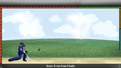 Swing Cricket 2 Lite screenshot 3