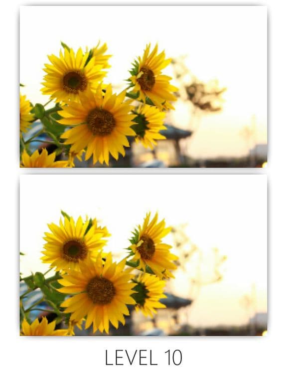 Find Differences Final screenshot 2