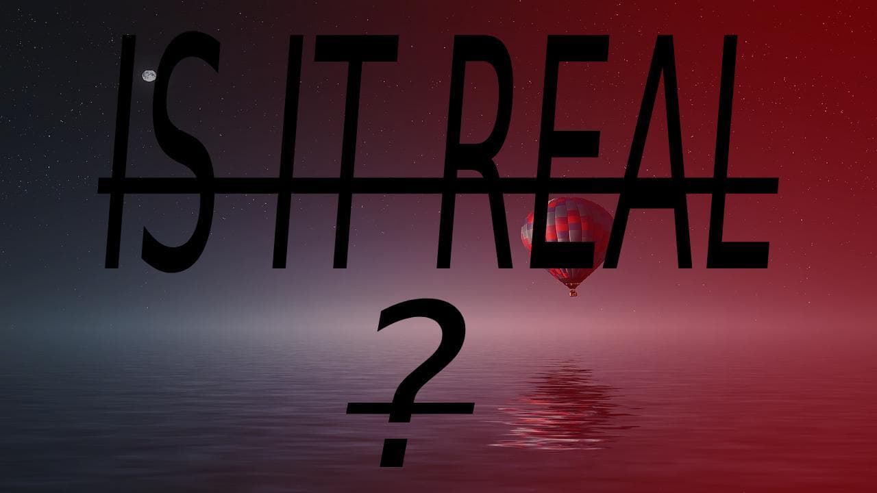 Is It Real? (BertGames)