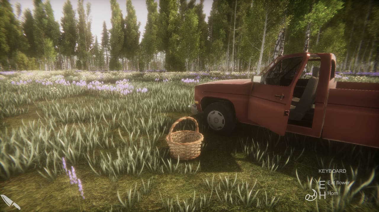 Flower Challenge screenshot 4