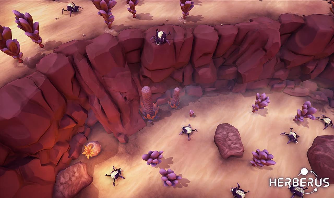 Herberus screenshot 4