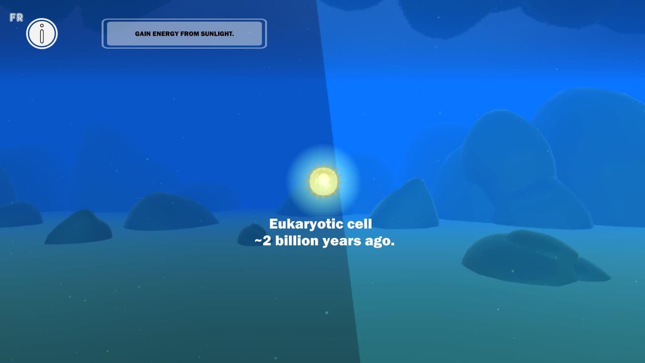 prOto screenshot 4