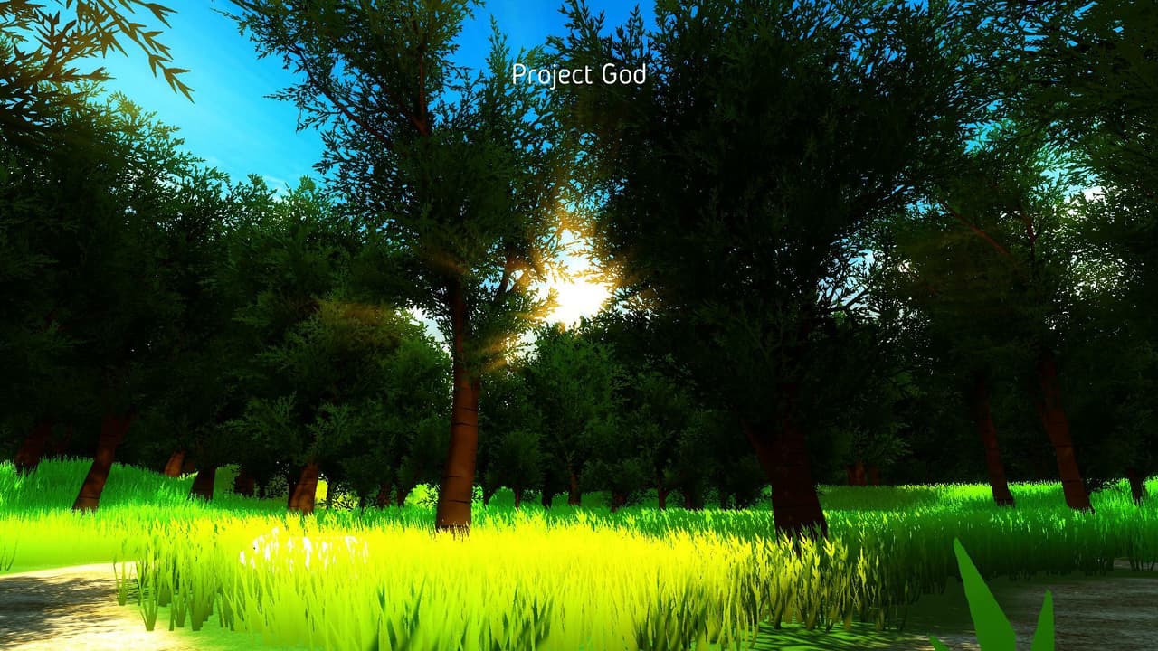 Project God (svinoman) screenshot 2