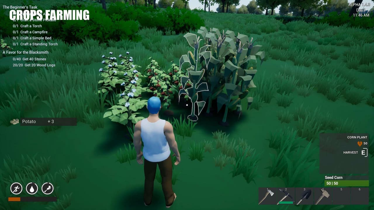 Wild West Survival (itch)