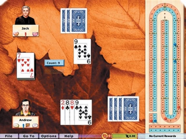 Hoyle Card Games (2008) screenshot 5