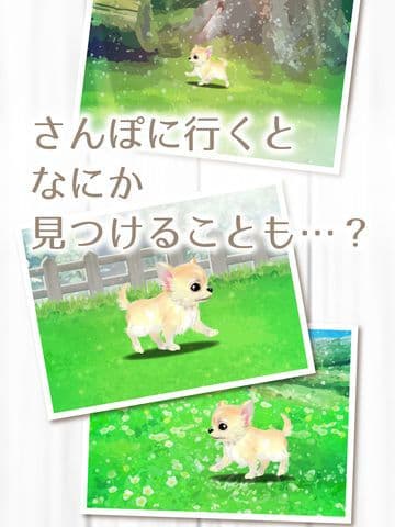 My Dog Life -Chihuahua Edition screenshot 5