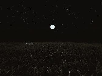 Plains of Eden screenshot 3