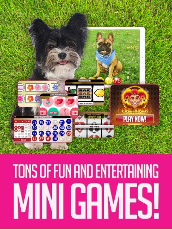 BOOM BINGO: Live Video & Slots screenshot 4