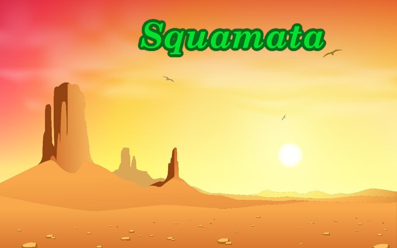 Squamata