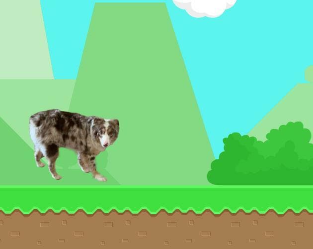 The Adventures of River