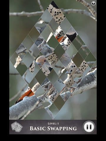 Hidden Scenes - Winter Birding screenshot 2