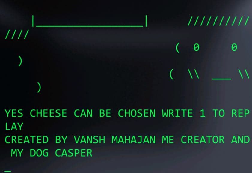 TAKE CARE OF YOUR DOG screenshot 5