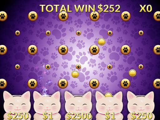 Casino Cash Cats Kitty Slots screenshot 4