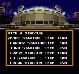 Super Baseball Simulator 1.000 screenshot 5
