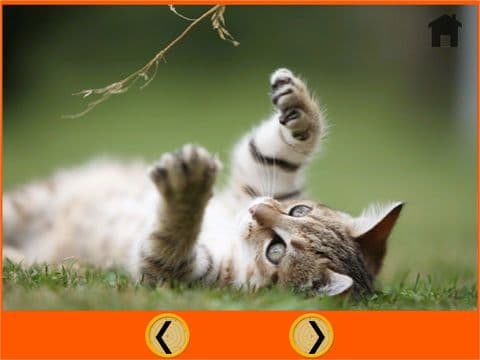 irrestible cats for kids - free