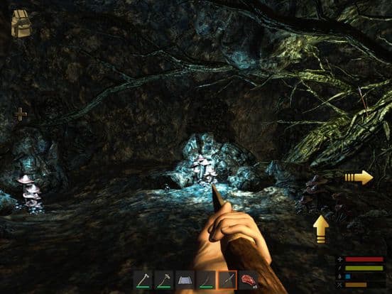 Survive: The Lost Lands screenshot 4