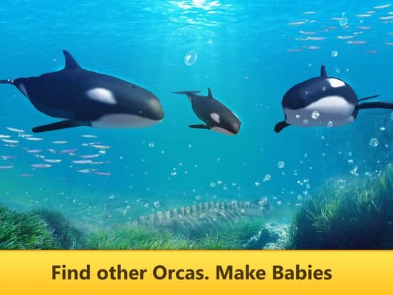 Ocean Whale Orca Simulator: Animal Quest 3D screenshot 4